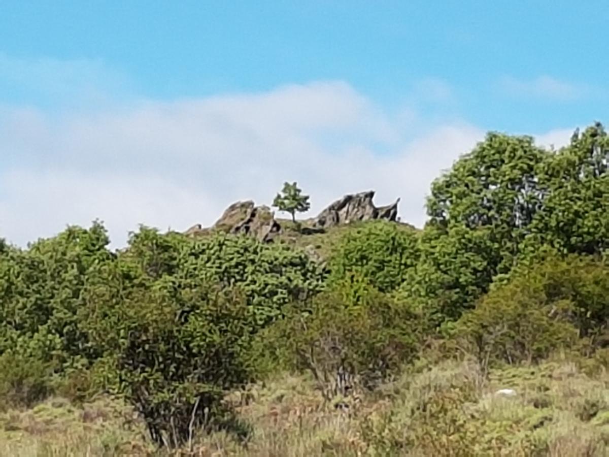 La Posada De Horcajuelo Horcajuelo de la Sierra ภายนอก รูปภาพ