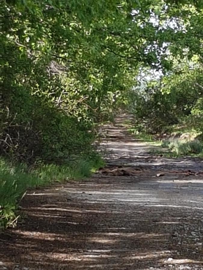La Posada De Horcajuelo Horcajuelo de la Sierra ภายนอก รูปภาพ