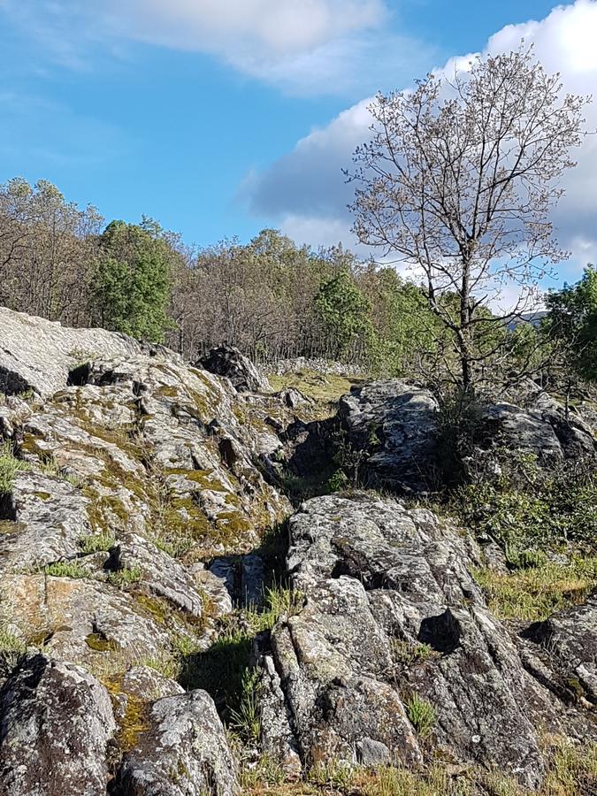 La Posada De Horcajuelo Horcajuelo de la Sierra ภายนอก รูปภาพ